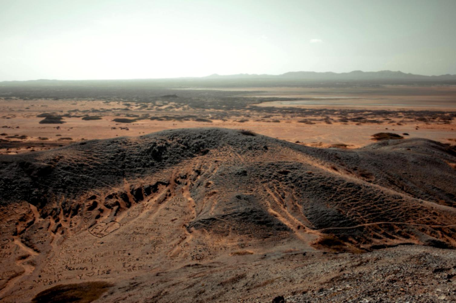 Координация групповых туров