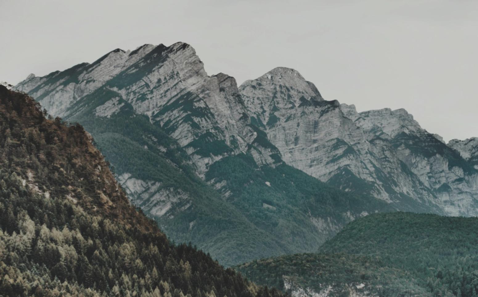 Участники воркшопа работают над групповым проектом